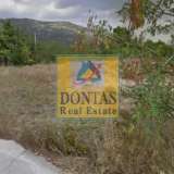  (For Sale) Land Plot || East Attica/Dionysos - 1.650 Sq.m, 430.000€ Dionysos 7090881 thumb1