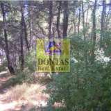  (For Sale) Land Plot || East Attica/Dionysos - 800 Sq.m, 300.000€ Dionysos 7991234 thumb6