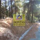  (For Sale) Land Plot || East Attica/Dionysos - 800 Sq.m, 300.000€ Dionysos 7991234 thumb4