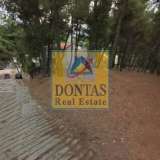  (For Sale) Land Plot || East Attica/Dionysos - 800 Sq.m, 250.000€ Dionysos 7991242 thumb3