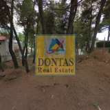  (For Sale) Land Plot || East Attica/Dionysos - 800 Sq.m, 250.000€ Dionysos 7991242 thumb0