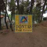  (For Sale) Land Plot || East Attica/Dionysos - 800 Sq.m, 250.000€ Dionysos 7991242 thumb4