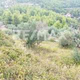  For Sale - (€ 0 / m2), Agricultural 5000 m2 Alonnisos 7291311 thumb8