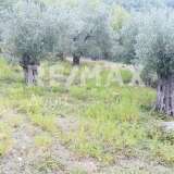  For Sale - (€ 0 / m2), Agricultural 5000 m2 Alonnisos 7291311 thumb7