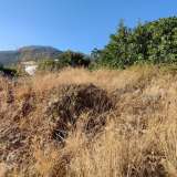  (For Sale) Land Plot || Kefalonia/Eleios - 344 Sq.m, 15.000€ Eleousa 7691819 thumb4