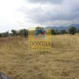 (For Rent) Land Agricultural Land  || East Attica/Acharnes (Menidi) - 2.500 Sq.m, 1.000€ Athens 7291995 thumb2