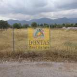  (For Rent) Land Agricultural Land  || East Attica/Acharnes (Menidi) - 2.500 Sq.m, 1.000€ Athens 7291995 thumb1