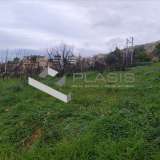  (For Sale) Land Plot || East Attica/Saronida - 815 Sq.m, 480.000€ Saronida 7992243 thumb8