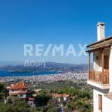  For Rent , Apartment 80 m2 Iolkos 8192419 thumb0