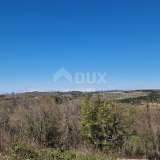  ISTRIA, BUJE - Building plot in an enchanting location with a panoramic view Buje 8192438 thumb15
