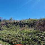  ISTRIA, BUJE - Building plot in an enchanting location with a panoramic view Buje 8192438 thumb9
