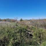  ISTRIA, BUJE - Building plot in an enchanting location with a panoramic view Buje 8192438 thumb12