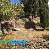  For sale bright, bright, bright, stone, furnished detached house of 127 sq.m., ground floor, on a plot, within plan, 572 sq.m. with 2 bedrooms, bathroom, living room, dining room, basement kitchen with storage rooms, unlimited mountain and forest views, s Andros (Chora) 7692460 thumb8