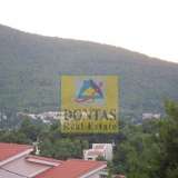  (For Sale) Land Plot || East Attica/Dionysos - 800 Sq.m, 350.000€ Dionysos 7992603 thumb3
