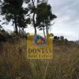  (For Sale) Land Plot || East Attica/Dionysos - 800 Sq.m, 350.000€ Dionysos 7992603 thumb2