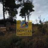  (For Sale) Land Plot || East Attica/Dionysos - 800 Sq.m, 350.000€ Dionysos 7992603 thumb0