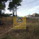  (For Sale) Land Plot || East Attica/Dionysos - 800 Sq.m, 350.000€ Dionysos 7992603 thumb1