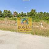  (For Sale) Land Plot || East Attica/Afidnes (Kiourka) - 2.020 Sq.m, 100.000€ Afidnes 7992609 thumb0