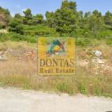  (For Sale) Land Plot || East Attica/Afidnes (Kiourka) - 2.020 Sq.m, 100.000€ Afidnes 7992609 thumb2