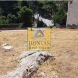 (For Sale) Land Plot || Athens North/Penteli - 2.125 Sq.m, 1.200.000€ Penteli 7692786 thumb5