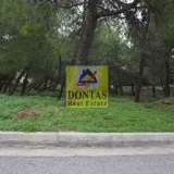  (For Sale) Land Plot || East Attica/Dionysos - 800 Sq.m, 300.000€ Dionysos 7692789 thumb3