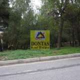 (For Sale) Land Plot || East Attica/Dionysos - 800 Sq.m, 300.000€ Dionysos 7692789 thumb6