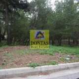  (For Sale) Land Plot || East Attica/Dionysos - 800 Sq.m, 300.000€ Dionysos 7692789 thumb2