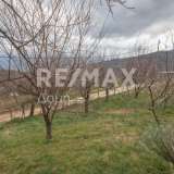  For Sale - (€ 0 / m2), House 80 m2 Mouresi 8092819 thumb8