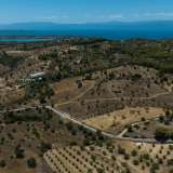  For Sale - (€ 0 / m2), Agricultural 10550 m2 Kranidi 7892995 thumb6