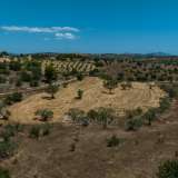  For Sale - (€ 0 / m2), Agricultural 10550 m2 Kranidi 7892995 thumb8
