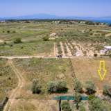  For Sale - (€ 0 / m2), Agricultural 1357 m2 Thasos 8193204 thumb2