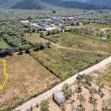  For Sale - (€ 0 / m2), Agricultural 1357 m2 Thasos 8193204 thumb5