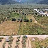  For Sale - (€ 0 / m2), Agricultural 1357 m2 Thasos 8193204 thumb6