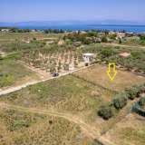  For Sale - (€ 0 / m2), Agricultural 1357 m2 Thasos 8193204 thumb3