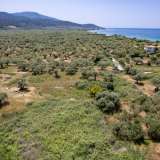  For Sale - (€ 0 / m2), Agricultural 375 m2 Thasos 8193211 thumb9