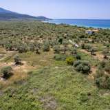  For Sale - (€ 0 / m2), Agricultural 375 m2 Thasos 8193211 thumb7