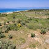  For Sale - (€ 0 / m2), Agricultural 375 m2 Thasos 8193211 thumb4