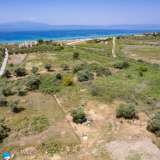  For Sale - (€ 0 / m2), Agricultural 375 m2 Thasos 8193211 thumb5