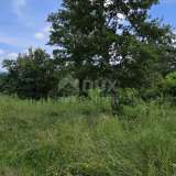  ISTRIA, PIĆAN - The last building plot in the construction zone Pićan 8193366 thumb3