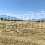 Agricultural land with wonderful view of Pirin mountain Banya village 7193375 thumb1
