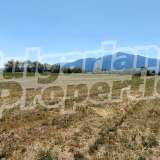  Agricultural land with wonderful view of Pirin mountain Banya village 7193375 thumb3