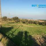  FOR SALE even, buildable plot, within a plan in Akrata, 2.770 sq.m., facade and level, suitable for agricultural exploitation and investment purposes with building coefficient 0.8, coverage coefficient 70% and height 9.5 m. Ideal choice for tourist aspira Akrata 6893417 thumb0