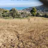  FOR SALE a privileged plot of 2.270mÂ² in Kymi, with sea view.Ideal for cultivation of all types of trees, while it already contains 4 peach trees, 2 cherry trees, 4 apple trees, 2 plum trees, 1 pomegranates, 2 pear trees, 2 apricot trees, 2 fig trees a Kimi 8193449 thumb1