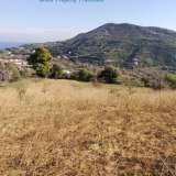  FOR SALE a privileged plot of 2.270mÂ² in Kymi, with sea view.Ideal for cultivation of all types of trees, while it already contains 4 peach trees, 2 cherry trees, 4 apple trees, 2 plum trees, 1 pomegranates, 2 pear trees, 2 apricot trees, 2 fig trees a Kimi 8193449 thumb2
