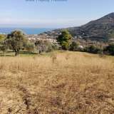  FOR SALE a privileged plot of 2.270mÂ² in Kymi, with sea view.Ideal for cultivation of all types of trees, while it already contains 4 peach trees, 2 cherry trees, 4 apple trees, 2 plum trees, 1 pomegranates, 2 pear trees, 2 apricot trees, 2 fig trees a Kimi 8193449 thumb0