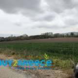  For sale a buildable plot of total area of 4009.36sqm just 300 meters from the village Megalokambos of Drama with the possibility of building up to 186sqm for residence, while for professional use up to 720sqm (warehouses etc.).INFORMATION AT : (+30)69450 Sitagroi 8193467 thumb0