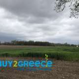  For sale a buildable plot of total area of 4009.36sqm just 300 meters from the village Megalokambos of Drama with the possibility of building up to 186sqm for residence, while for professional use up to 720sqm (warehouses etc.).INFORMATION AT : (+30)69450 Sitagroi 8193467 thumb2