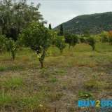  FOR SALE PLOT 2,000 SQ.M. IN APOLLONIA, LEFKADA AND SPECIFICALLY IN VASILIKI BUILDS 200SQM UP TO 2 FLOORSWATER AND ELECTRICITYFENCED IN 2 PARTIES WITH SINGLE BLOCK (WALL)FACE ON THE ROAD 47SQMGATE DOORTHERE ARE ORANGE TREES AND AN OLIVEInformation: 003021 Lefkada 6893489 thumb15