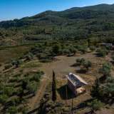  For Sale - (€ 0 / m2), Agricultural 100943 m2 Epidavros 7993542 thumb1