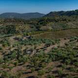  For Sale - (€ 0 / m2), Agricultural 100943 m2 Epidavros 7993542 thumb0